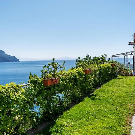 Di Palma Access To The And Solarium Apartament